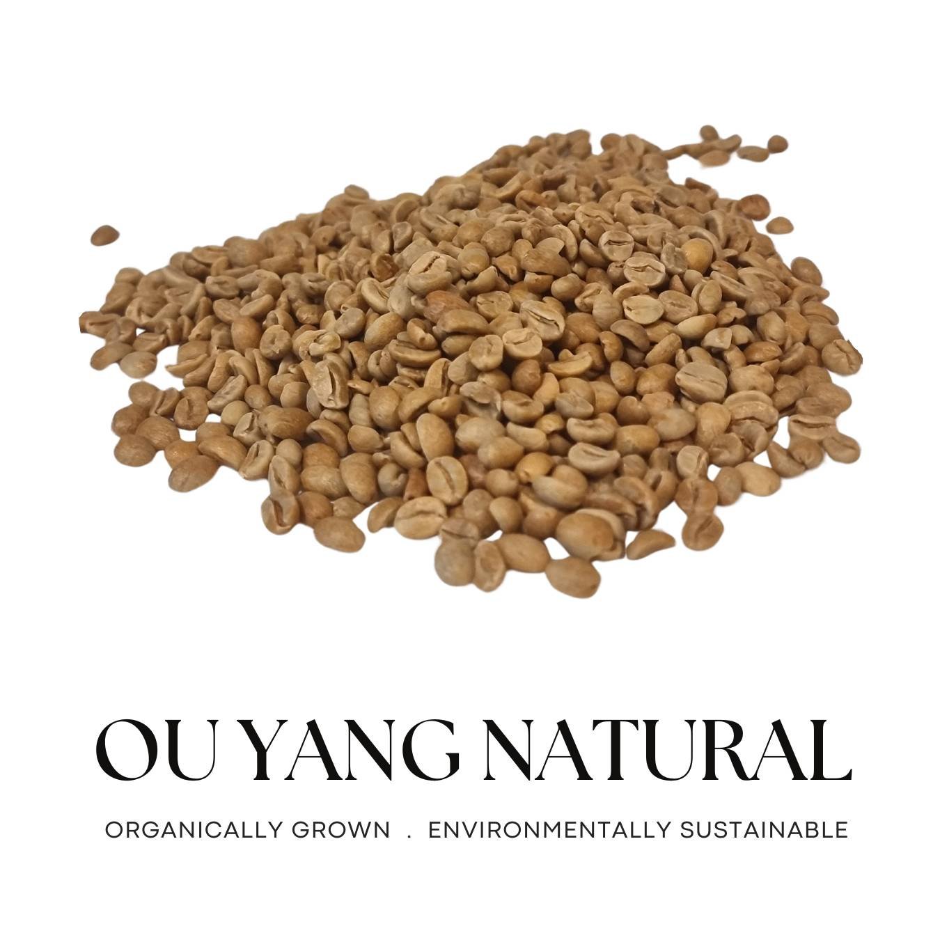 Ou Yang Natural Green/unroasted beans.