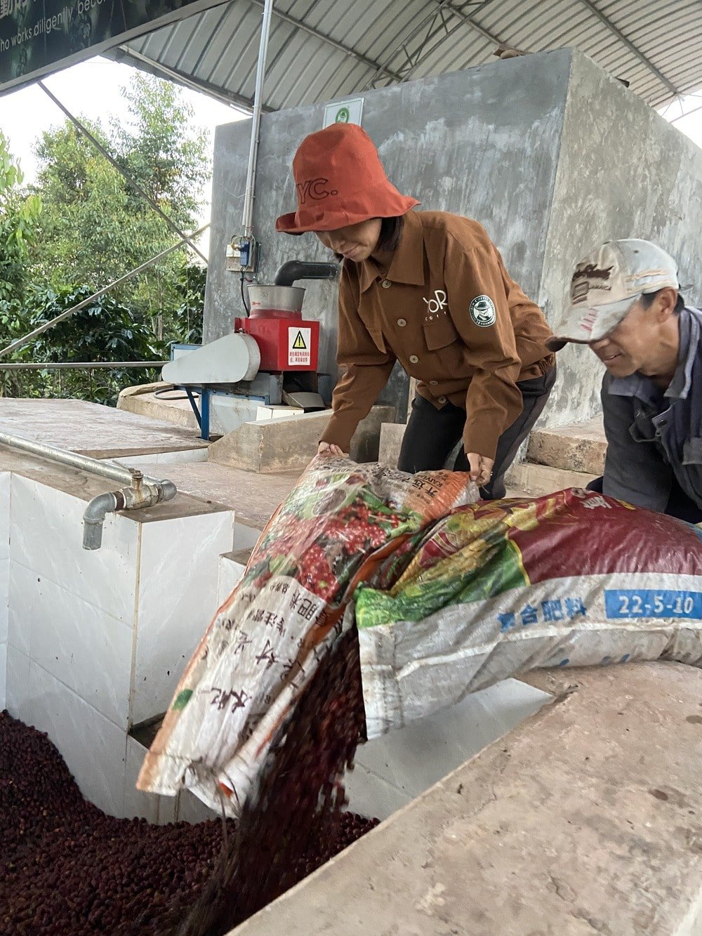 Coffee Processing.